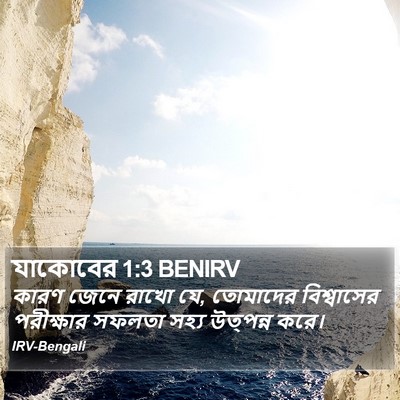 যাকোবের 1:3 BENIRV Bible Verse Image