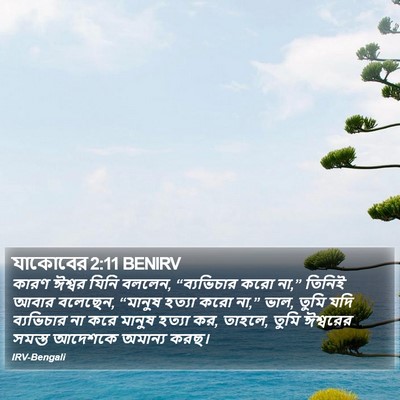 যাকোবের 2:11 BENIRV Bible Verse Image