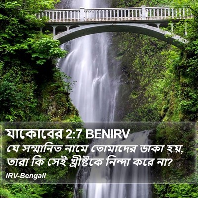 যাকোবের 2:7 BENIRV Bible Verse Image