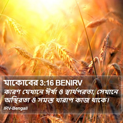 যাকোবের 3:16 BENIRV Bible Verse Image