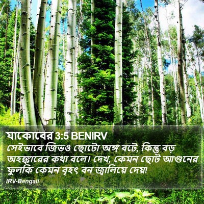 যাকোবের 3:5 BENIRV Bible Verse Image