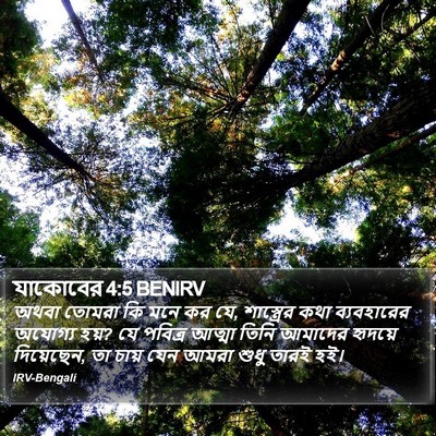 যাকোবের 4:5 BENIRV Bible Verse Image