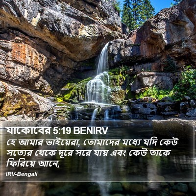 যাকোবের 5:19 BENIRV Bible Verse Image