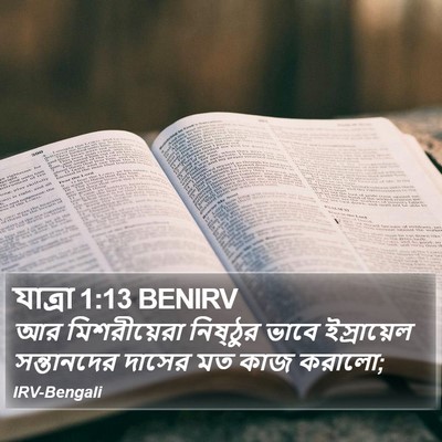 যাত্ৰা 1:13 BENIRV Bible Verse Image