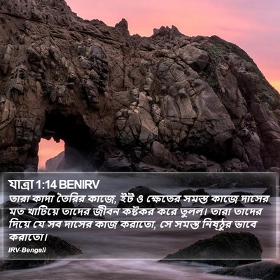 যাত্ৰা 1:14 BENIRV Bible Verse Image