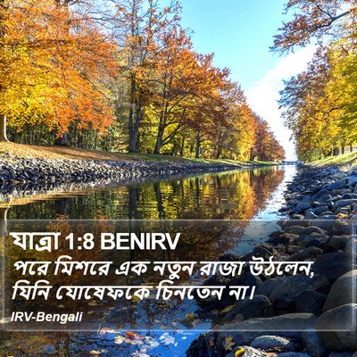 যাত্ৰা 1:8 BENIRV Bible Verse Image
