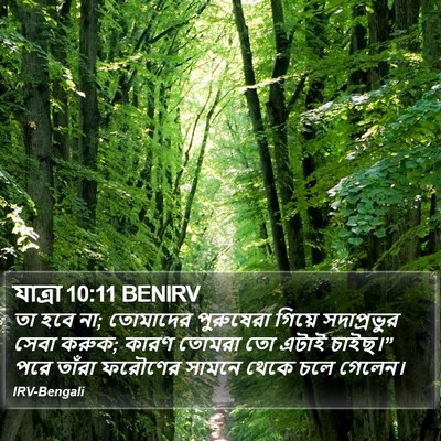 যাত্ৰা 10:11 BENIRV Bible Verse Image