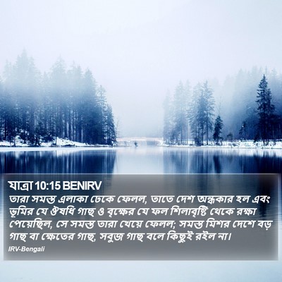 যাত্ৰা 10:15 BENIRV Bible Verse Image