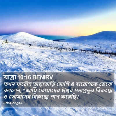 যাত্ৰা 10:16 BENIRV Bible Verse Image