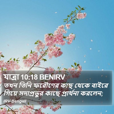 যাত্ৰা 10:18 BENIRV Bible Verse Image