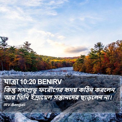 যাত্ৰা 10:20 BENIRV Bible Verse Image