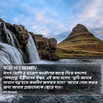 যাত্ৰা 10:3 BENIRV Bible Verse Image