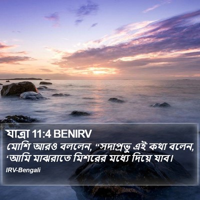 যাত্ৰা 11:4 BENIRV Bible Verse Image