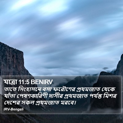 যাত্ৰা 11:5 BENIRV Bible Verse Image