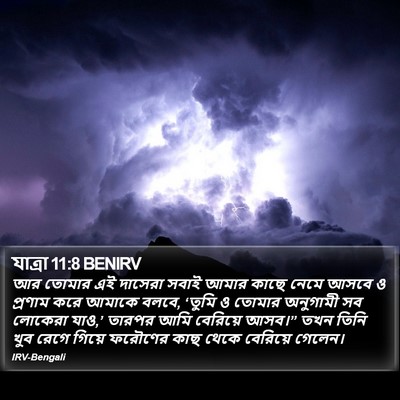 যাত্ৰা 11:8 BENIRV Bible Verse Image