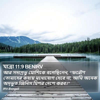 যাত্ৰা 11:9 BENIRV Bible Verse Image