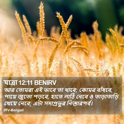 যাত্ৰা 12:11 BENIRV Bible Verse Image