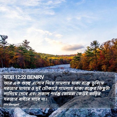 যাত্ৰা 12:22 BENIRV Bible Verse Image