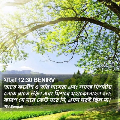 যাত্ৰা 12:30 BENIRV Bible Verse Image
