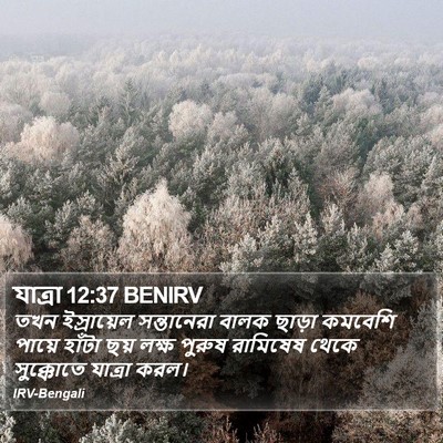 যাত্ৰা 12:37 BENIRV Bible Verse Image