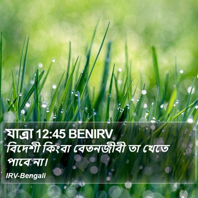 যাত্ৰা 12:45 BENIRV Bible Verse Image