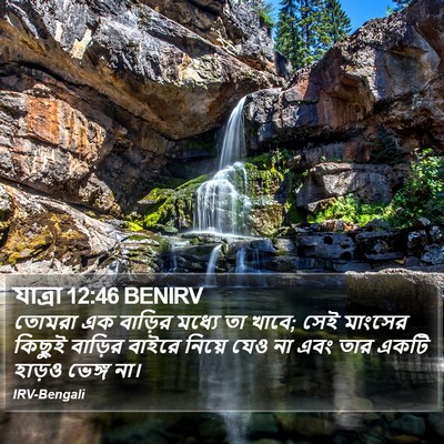 যাত্ৰা 12:46 BENIRV Bible Verse Image
