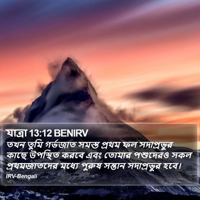 যাত্ৰা 13:12 BENIRV Bible Verse Image