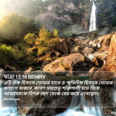 যাত্ৰা 13:16 BENIRV Bible Verse Image