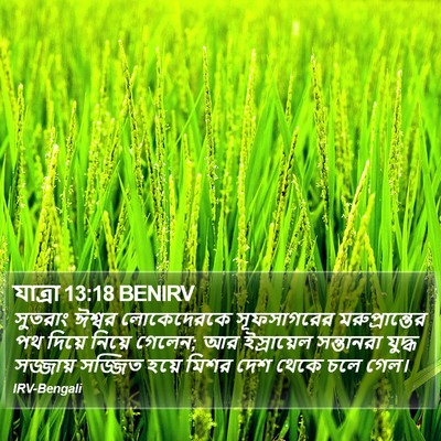যাত্ৰা 13:18 BENIRV Bible Verse Image