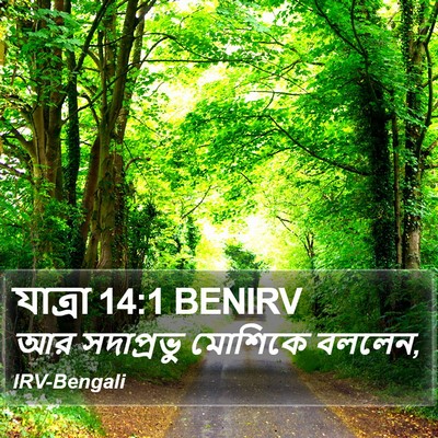 যাত্ৰা 14:1 BENIRV Bible Verse Image