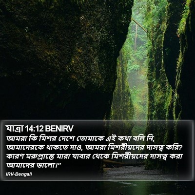 যাত্ৰা 14:12 BENIRV Bible Verse Image
