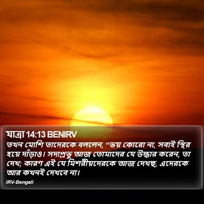 যাত্ৰা 14:13 BENIRV Bible Verse Image