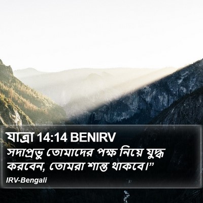 যাত্ৰা 14:14 BENIRV Bible Verse Image
