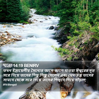 যাত্ৰা 14:19 BENIRV Bible Verse Image