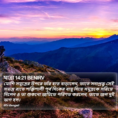 যাত্ৰা 14:21 BENIRV Bible Verse Image