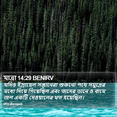 যাত্ৰা 14:29 BENIRV Bible Verse Image