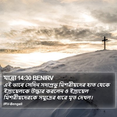 যাত্ৰা 14:30 BENIRV Bible Verse Image