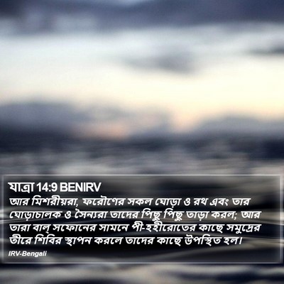 যাত্ৰা 14:9 BENIRV Bible Verse Image
