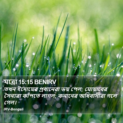 যাত্ৰা 15:15 BENIRV Bible Verse Image