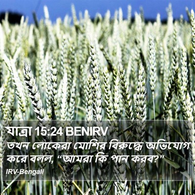 যাত্ৰা 15:24 BENIRV Bible Verse Image