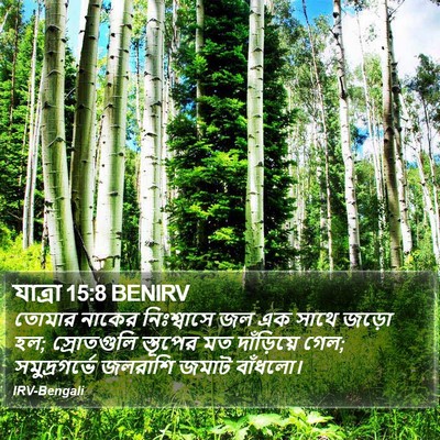 যাত্ৰা 15:8 BENIRV Bible Verse Image