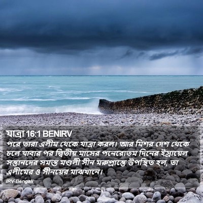 যাত্ৰা 16:1 BENIRV Bible Verse Image