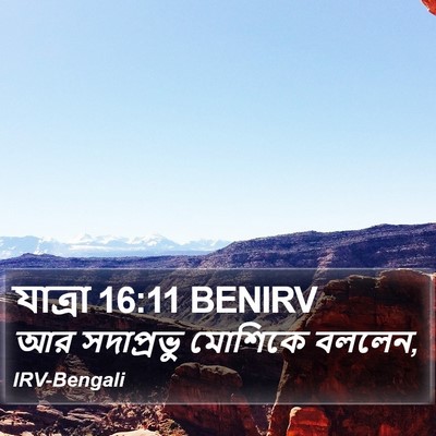 যাত্ৰা 16:11 BENIRV Bible Verse Image