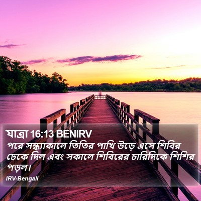 যাত্ৰা 16:13 BENIRV Bible Verse Image