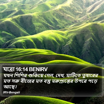 যাত্ৰা 16:14 BENIRV Bible Verse Image