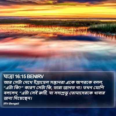 যাত্ৰা 16:15 BENIRV Bible Verse Image