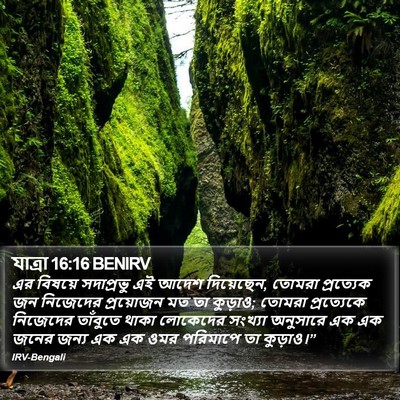 যাত্ৰা 16:16 BENIRV Bible Verse Image