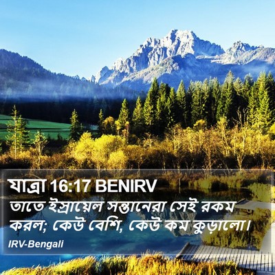 যাত্ৰা 16:17 BENIRV Bible Verse Image
