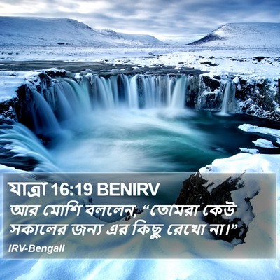 যাত্ৰা 16:19 BENIRV Bible Verse Image