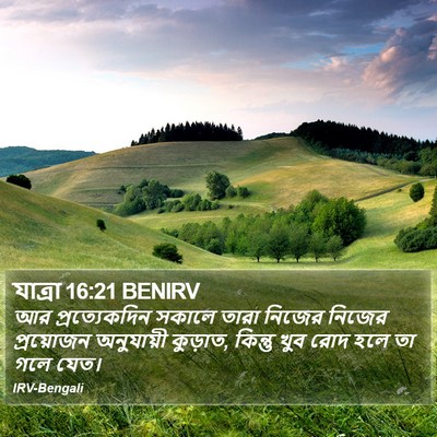 যাত্ৰা 16:21 BENIRV Bible Verse Image